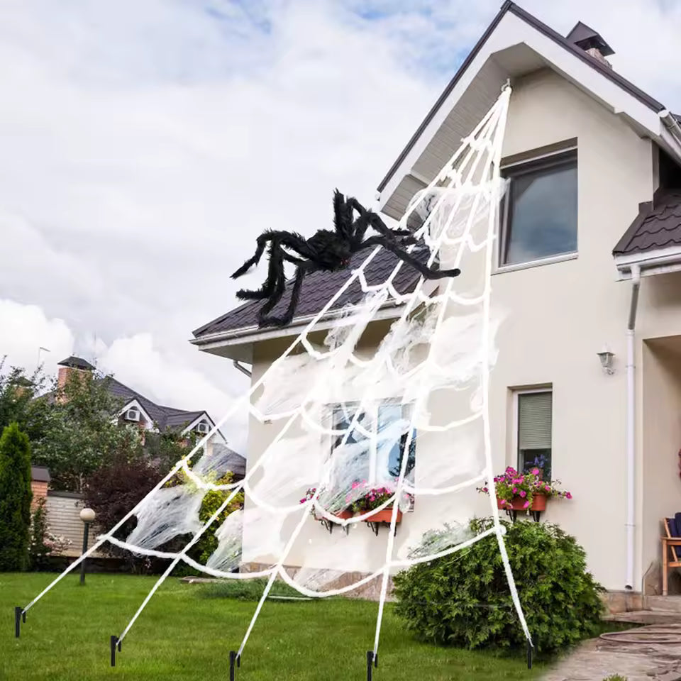 Giant Creepy Spider