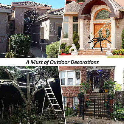 Giant Creepy Spider